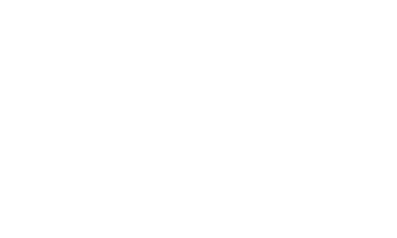 bd roofing logo upscaled white